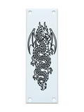 Winged Dragon Door Push Plate